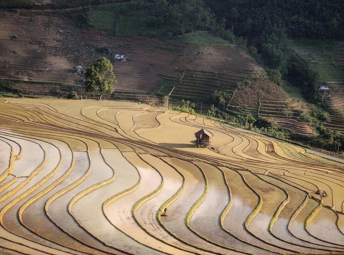 Bí quyết du lịch Sapa mùa nước đổ - Những trải nghiệm không thể quên 5