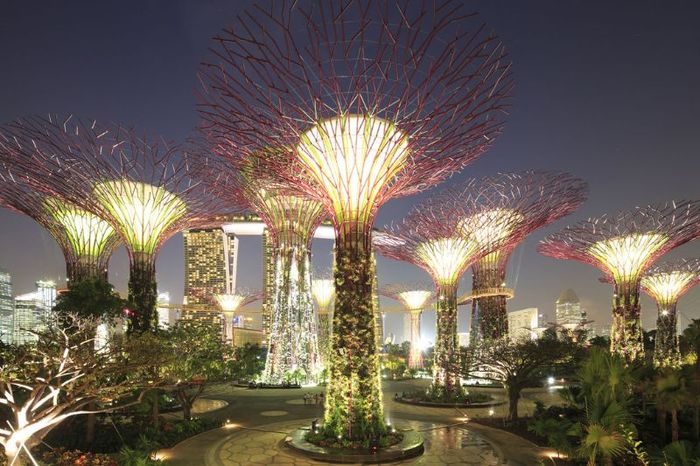 Gardens by the Bay, khu vườn nhân tạo quy mô lớn tại Singapore 7