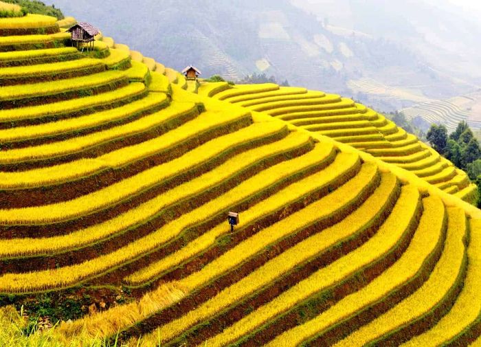 Sapa quanh năm với khung cảnh đổi thay gây nghiện lòng người 11
