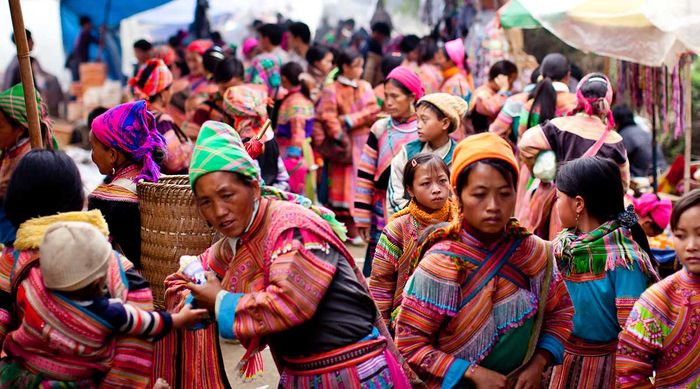 Hãy thưởng thức hương vị đặc biệt của táo mèo và mắc cọp từ vùng núi rừng Tây Bắc.