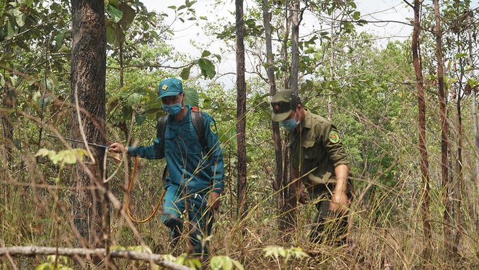 Rừng Chàng Riệc là nơi hiện hữu vẻ đẹp hoang sơ kết hợp với những dấu tích lịch sử vĩ đại.