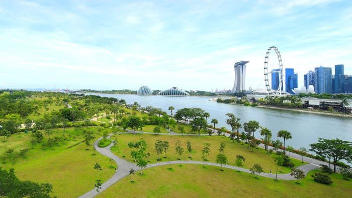 Gardens by the Bay, vườn nhân tạo quy mô lớn tại Singapore 11