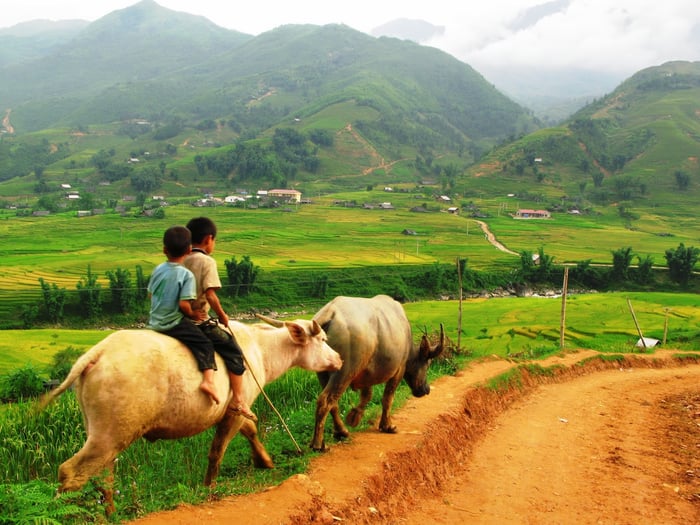 Bản Tả Phìn - Bản làng hoang sơ, mộc mạc giữa núi rừng Tây Bắc 3