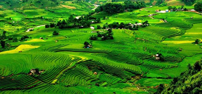 Sapa quanh năm với khung cảnh đổi thay gây nghiện lòng người 9