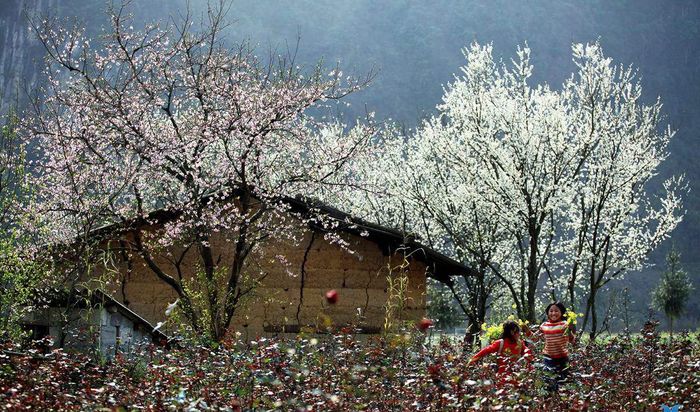 Sapa quanh năm với khung cảnh đổi thay gây nghiện lòng người 4