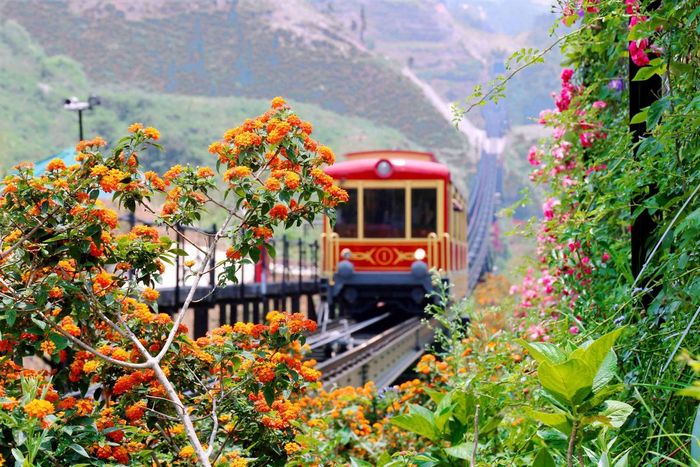 Lễ hội khèn hoa và Mở cổng trời Fansipan - Khám phá lễ hội miền núi Tây Bắc kỳ vĩ 17