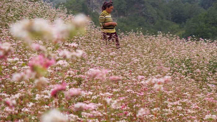 Chuyến khám phá Sapa không có điểm dừng của chàng trai Nguyễn Thanh Tuấn 9