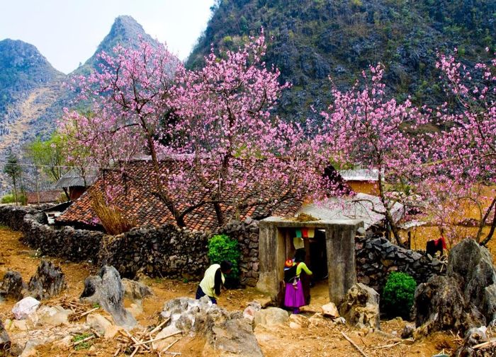 Sapa quanh năm với khung cảnh đổi thay gây nghiện lòng người 6