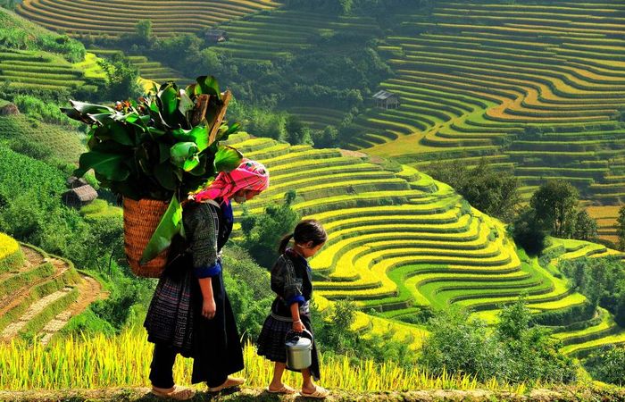 Con đường hướng lên thiên đường Sapa - Nơi hòa mình vào mây đại ngàn 12