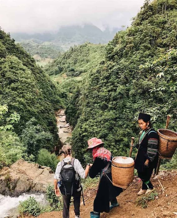 Vườn Quốc gia Hoàng Liên, trung tâm của sự đa dạng sinh học với nhiều điểm tham quan huyền thoại.