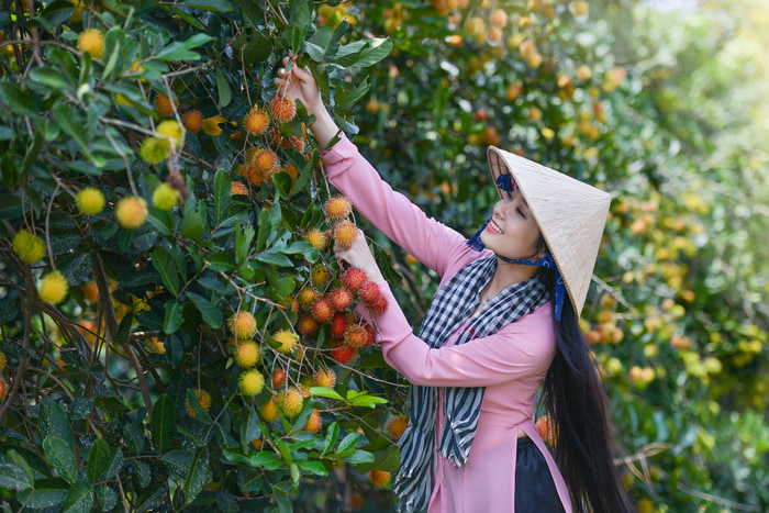 Tận hưởng không gian xanh mát và thư thái tại Cồn Mỹ Phước.