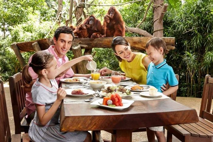 Thăm Singapore Zoo và gặp hai 'siêu sao' gấu trúc đáng yêu số 8