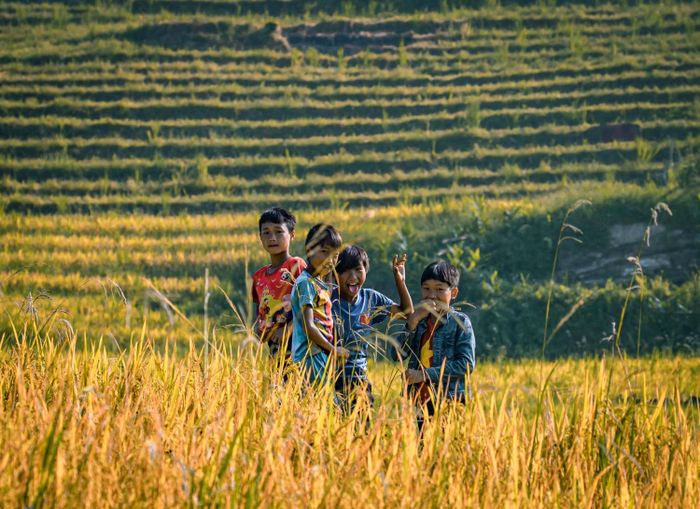 Trải nghiệm Săn Mùa vàng Y Tý cùng Bùi Ngọc Công 4