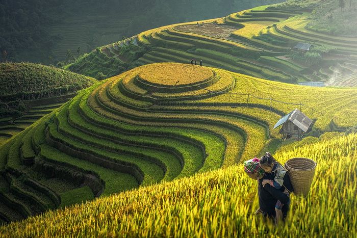 Đường dẫn lên thiên đường Sapa - Nơi mênh mang giữa mây đại ngàn 9