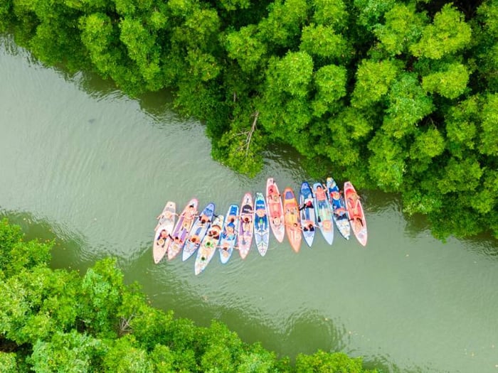 Đầm Thị Nại, bức tranh thiên nhiên tuyệt đẹp như chốn thần tiên 7