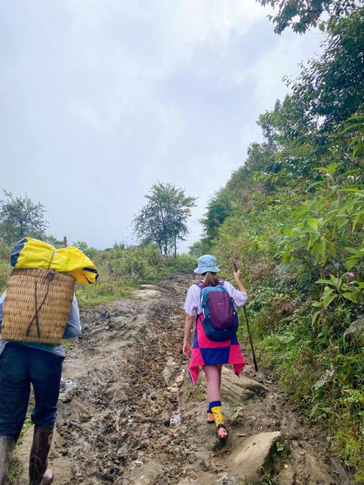 Trekking Lảo Thẩn săn biển mây và rừng hoa chi pâu đẹp tuyệt sắc 11