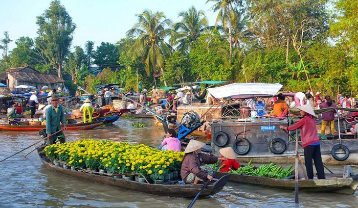 Khám phá Chợ nổi Ngã Năm và cảm nhận không khí nhộn nhịp vào buổi sáng tươi đẹp.