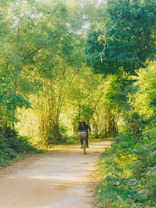 Làng Liên Trạch Quảng Bình mộc mạc và yên bình đến động lòng người