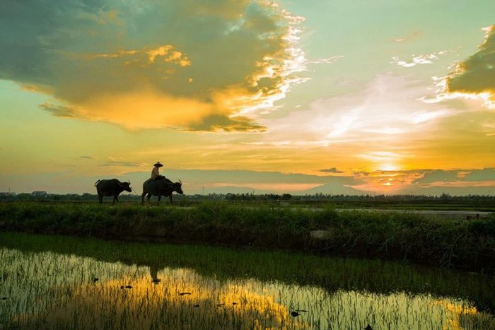 Khám phá vẻ đẹp của Cù Lao Dung với những con cá tôm phong phú và những cây trái ngọt ngào