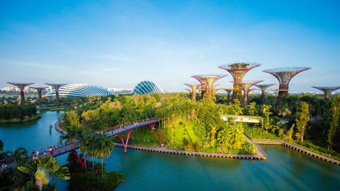 Gardens by the Bay, khu vườn nhân tạo quy mô lớn tại Singapore 2