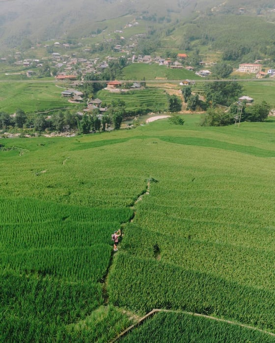 Đánh giá về Tả Van mùa lúa chín đẹp lòng người