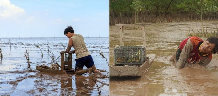 Hoang sơ biển Mỏ Ó, tuyệt phẩm thiên nhiên miền Tây Nam Bộ 4