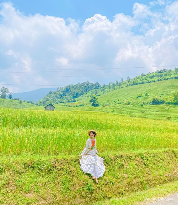 Mùa Lúa Nậm Cang Sapa mang lại sự bình yên cho lòng người