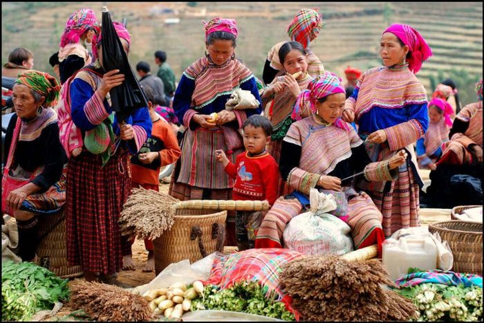 Nơi núi rừng Tây Bắc là điểm đến đặc biệt với những loại trái cây độc đáo như táo mèo và mắc cọp.