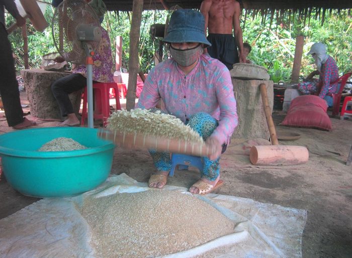 Làng nghề làm cốm dẹp Phước Quới sôi động chuẩn bị đón lễ hội truyền thống 4