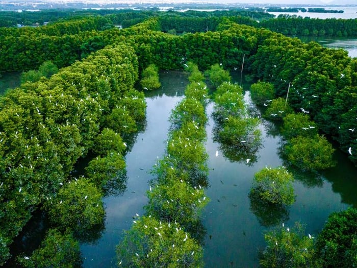 Đầm Thị Nại, một tác phẩm thiên nhiên tuyệt vời như thiên đường