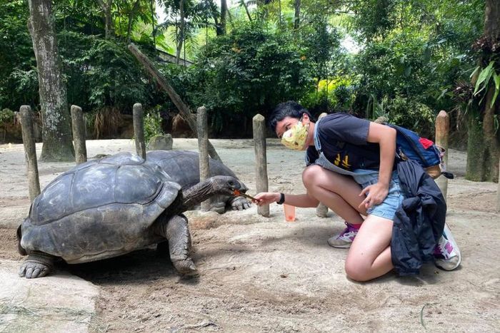 Hãy ghé thăm hai nhà mới của 'quốc bảo' gấu trúc dễ thương tại Vườn Thú Singapore 5