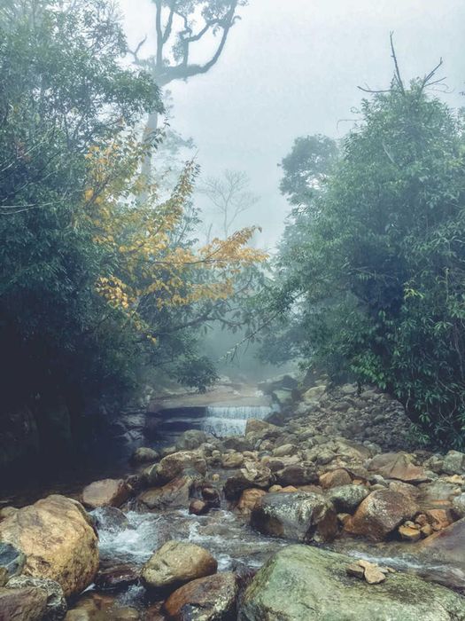 Hành trình chinh phục biển mây Bạch Mộc Lương Tử (Kỳ Quan San) 11