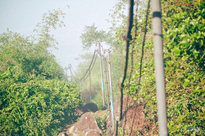 Hành trình Trekking núi Bà Đen với nhiều thách thức và cảm xúc đa dạng.