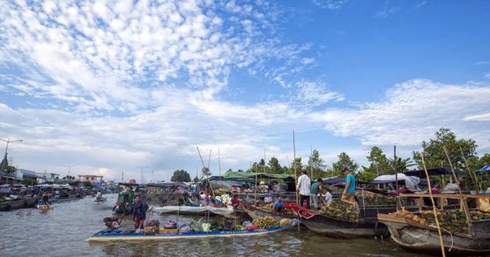 Mẹo nhỏ khi đi chợ nổi Ngã Năm mà không phải ai cũng biết