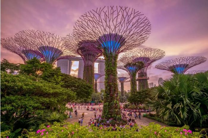 Tham khảo tour Singapore Malaysia 5 ngày 4 đêm từ A đến Z 5