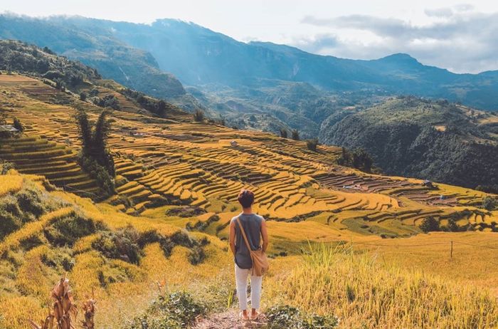 Hẹn hò với mây ở vùng cao Lào Cai mùa săn mây Y Tý 10