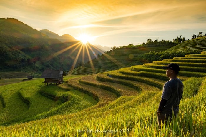 Mùa lúa chín ở Nậm Cang, cảnh sắc lôi cuốn lòng người 4