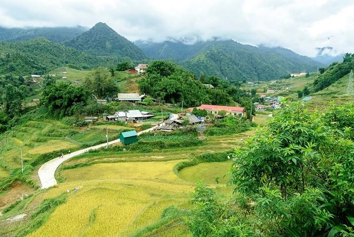 Kiệt tác ruộng bậc thang Sapa giữa vùng núi cao Tây Bắc 8