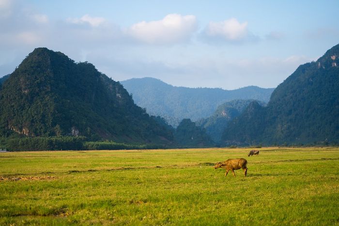 Thưởng ngoạn cảnh hoàng hôn mùa đông ở Tân Hóa, Quảng Bình tuyệt đẹp 5