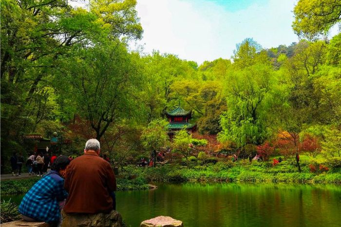 Trường Sa Hồ Nam - trung tâm văn hóa của Đông Á 3