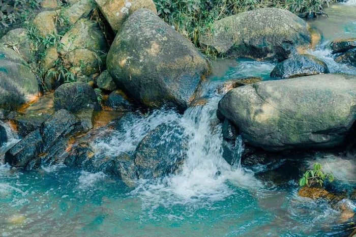 Trải nghiệm tắm mát tại Suối Đá Vũng Tàu giữa không gian tự nhiên sống động
