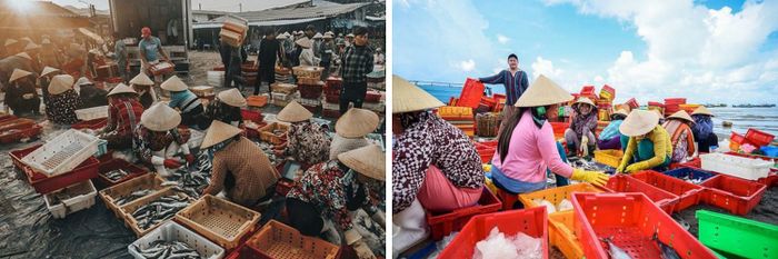 Chợ Bến Đá Vũng Tàu và những trải nghiệm đặc sắc tại một trong những điểm đến hải sản hàng đầu Vũng Tàu 3