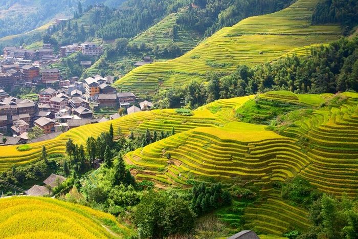 Kinh ngạc trước vẻ đẹp thần tiên của Quế Lâm 6