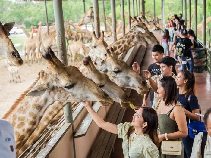 Khám phá tour du lịch Thái Lan 4 ngày 3 đêm và những trải nghiệm thú vị 16