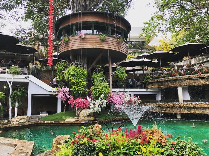 Top những quán cafe thư giãn ở Sài Gòn để trải nghiệm một ngày bình yên