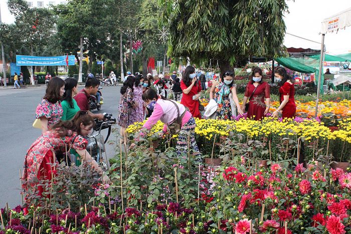 Thưởng ngoạn vẻ đẹp rực rỡ của chợ hoa và kiểng ở thành phố Vĩnh Long.