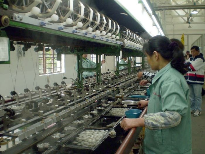 Giang Tô là nơi bạn có thể trải nghiệm văn hóa sông nước đặc sắc.