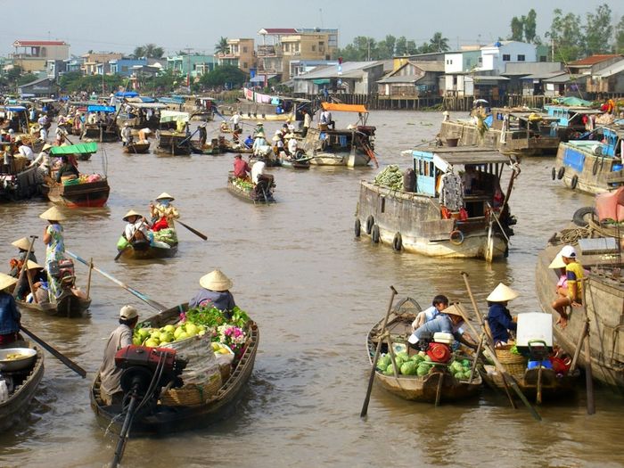 Trải nghiệm Lịch trình du lịch Tiền Giang một ngày, sẵn lòng mê mải đắm chìm trong niềm vui 3