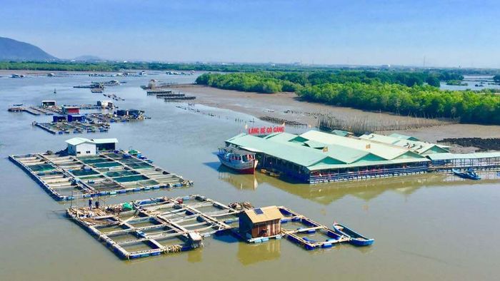 Đảo Gò Găng - Điểm đến không thể bỏ qua của những người yêu thích sống ảo tại Vũng Tàu 6