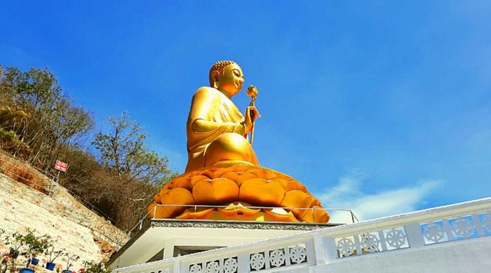 Vãn cảnh Thiền Viện Chơn Không Vũng Tàu – Nơi có bức tượng Phật bằng vàng khổng lồ 7